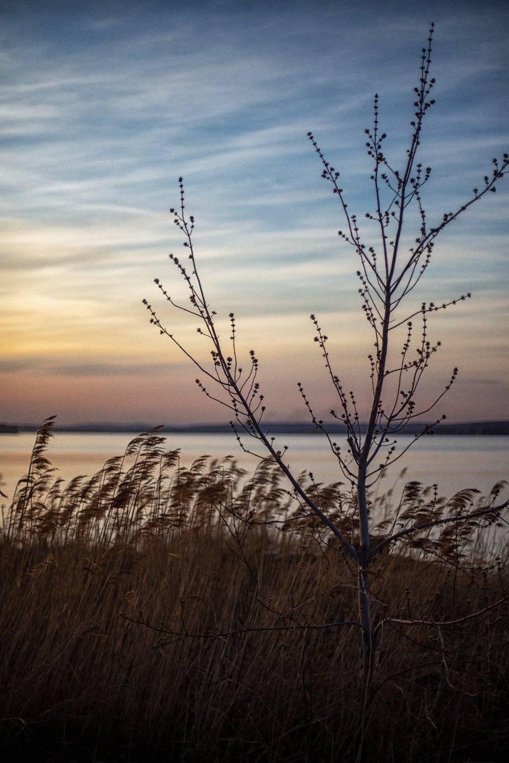 , Наталья Онянова