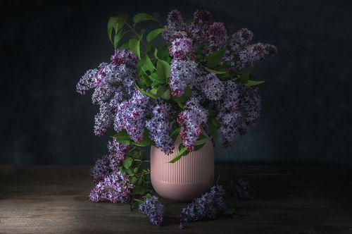 Lilac