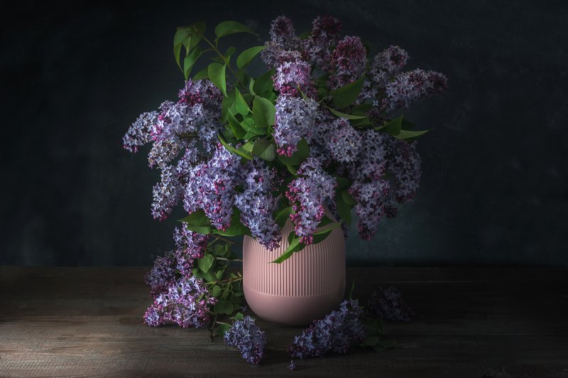 lilac, spring, flower, still life, dark, bouquet Lilac фото превью