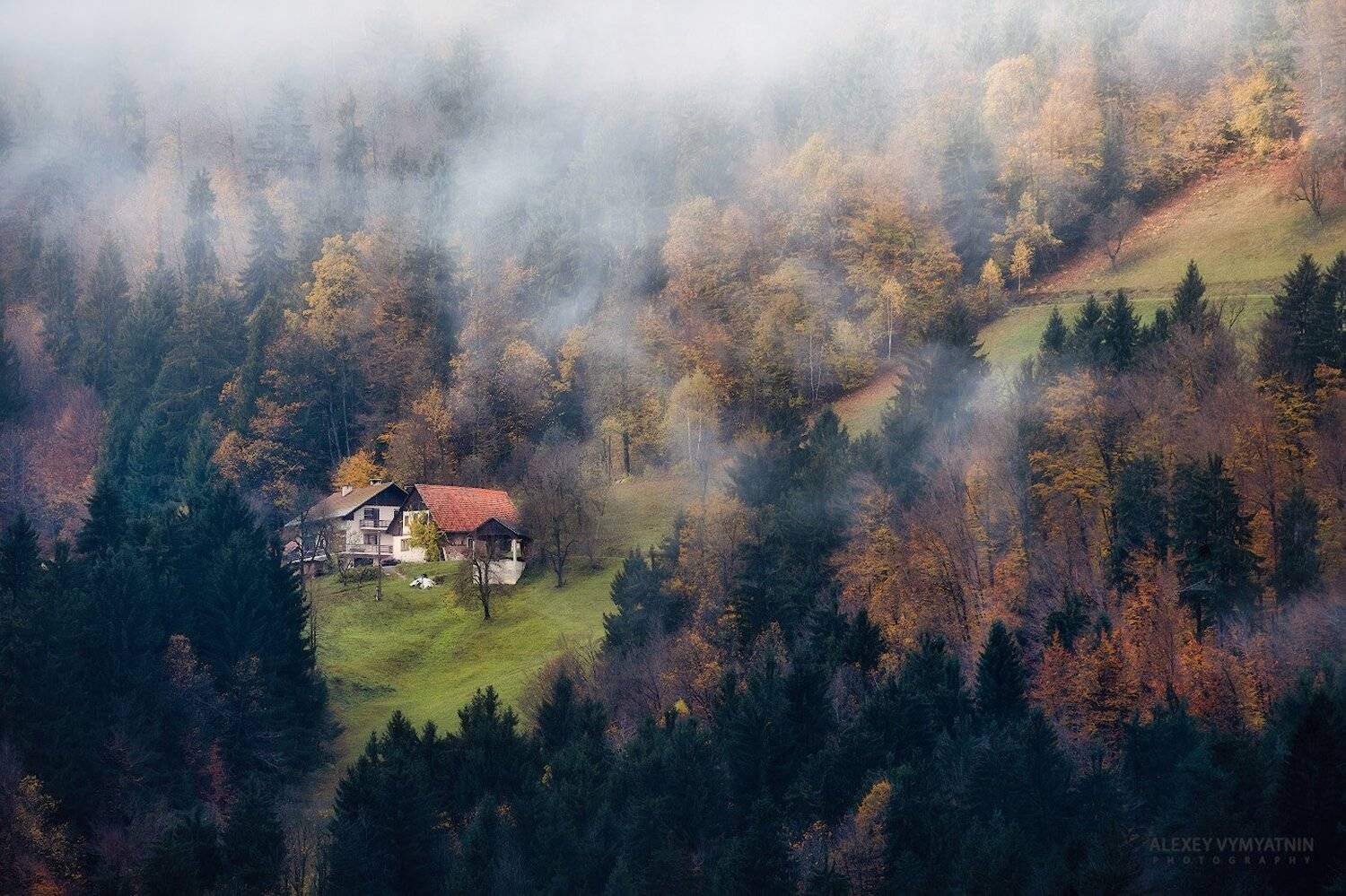 slovenia, fog, autumn, november, trees, yellow, house, outdoor, landscape, slovenian, Алексей Вымятнин