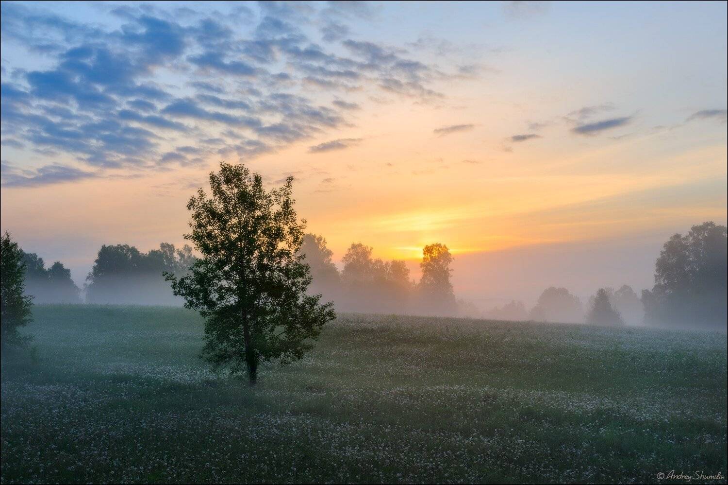 , Андрей Шумилин