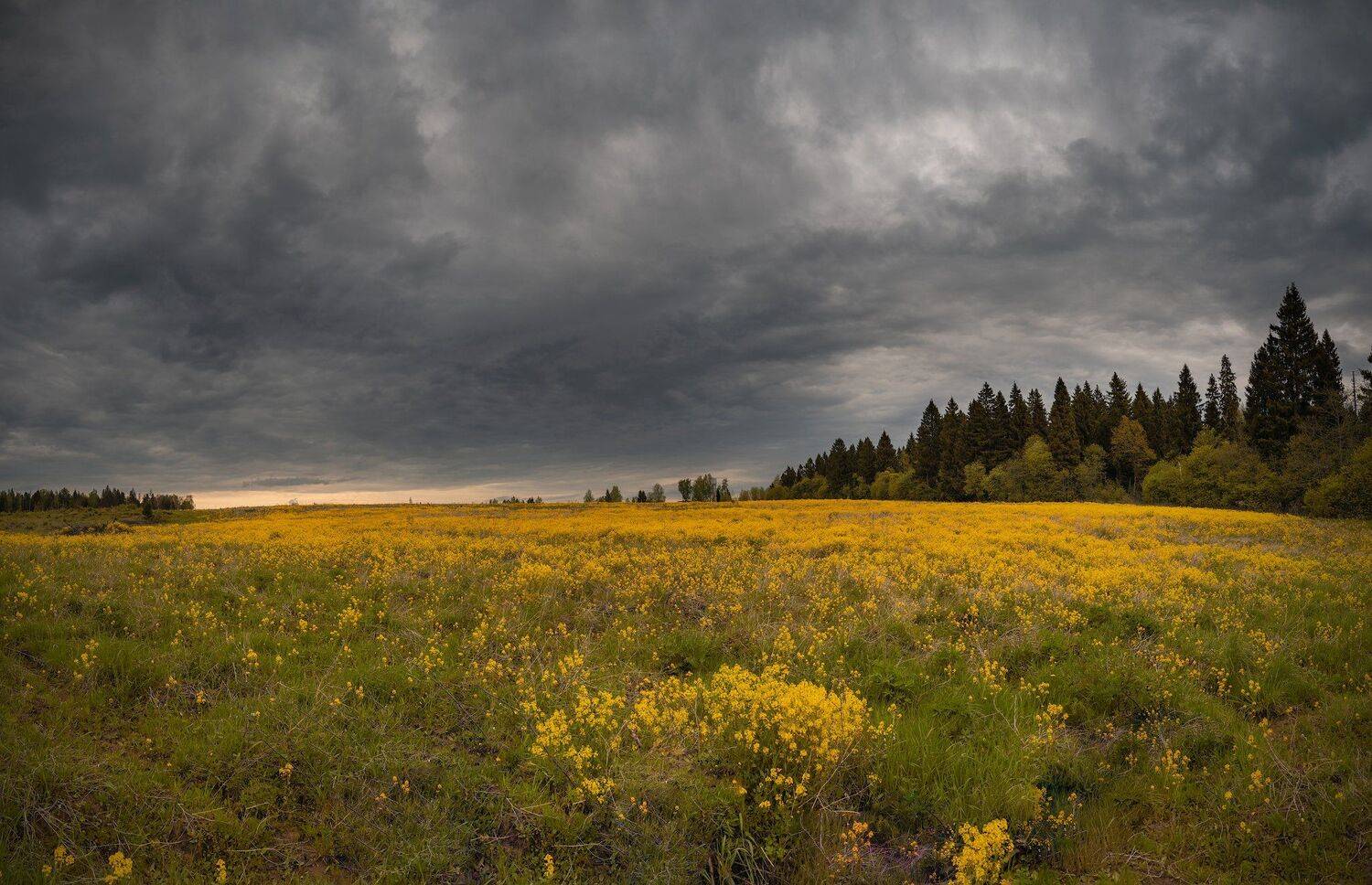 , Константин Дэм