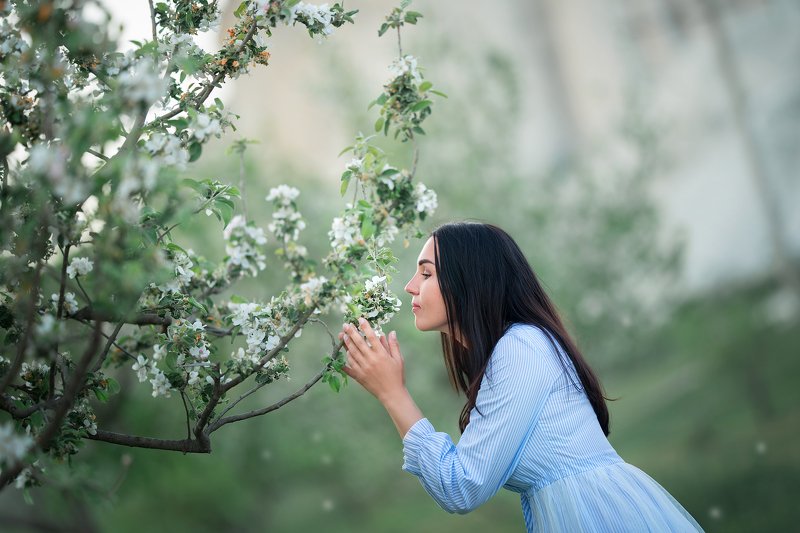 фото превью