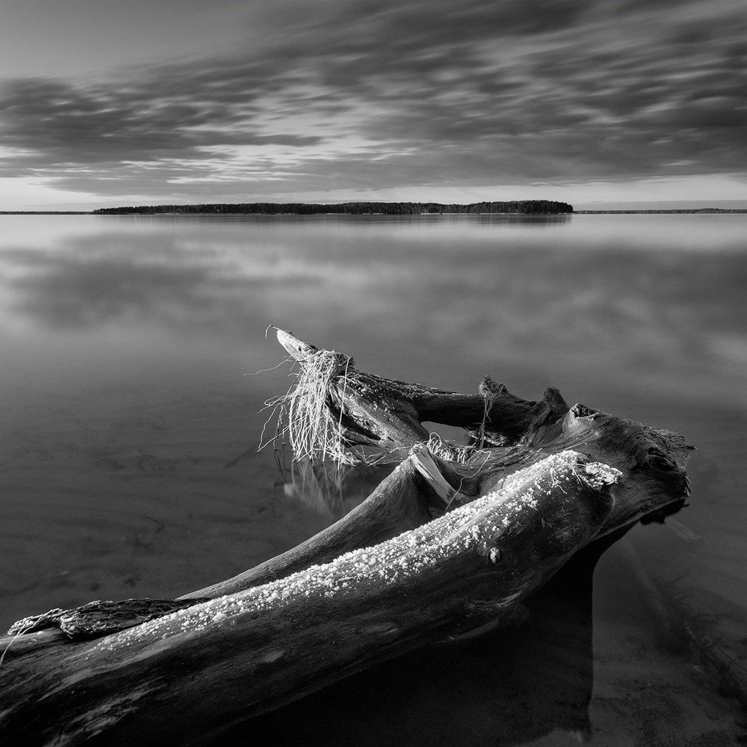 , Федотов Антон