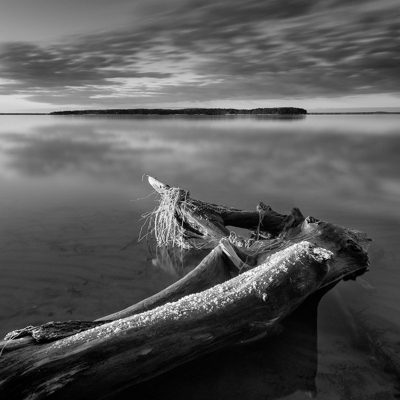 С модной прической фото превью