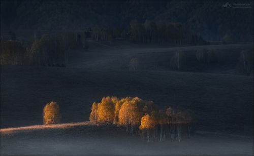 Когда включили свет ...