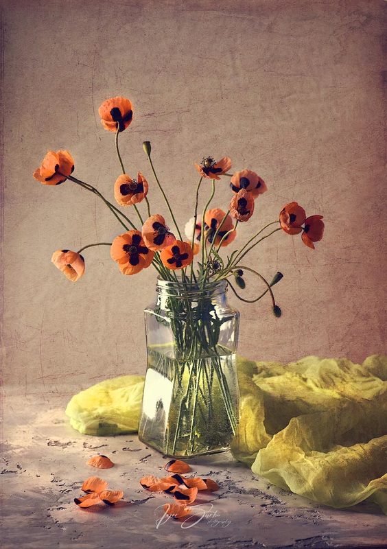 Poppies art фото превью