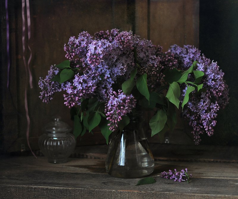 Сирени буйный цвет фото превью