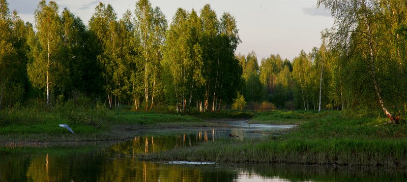 р. Сорока фото превью