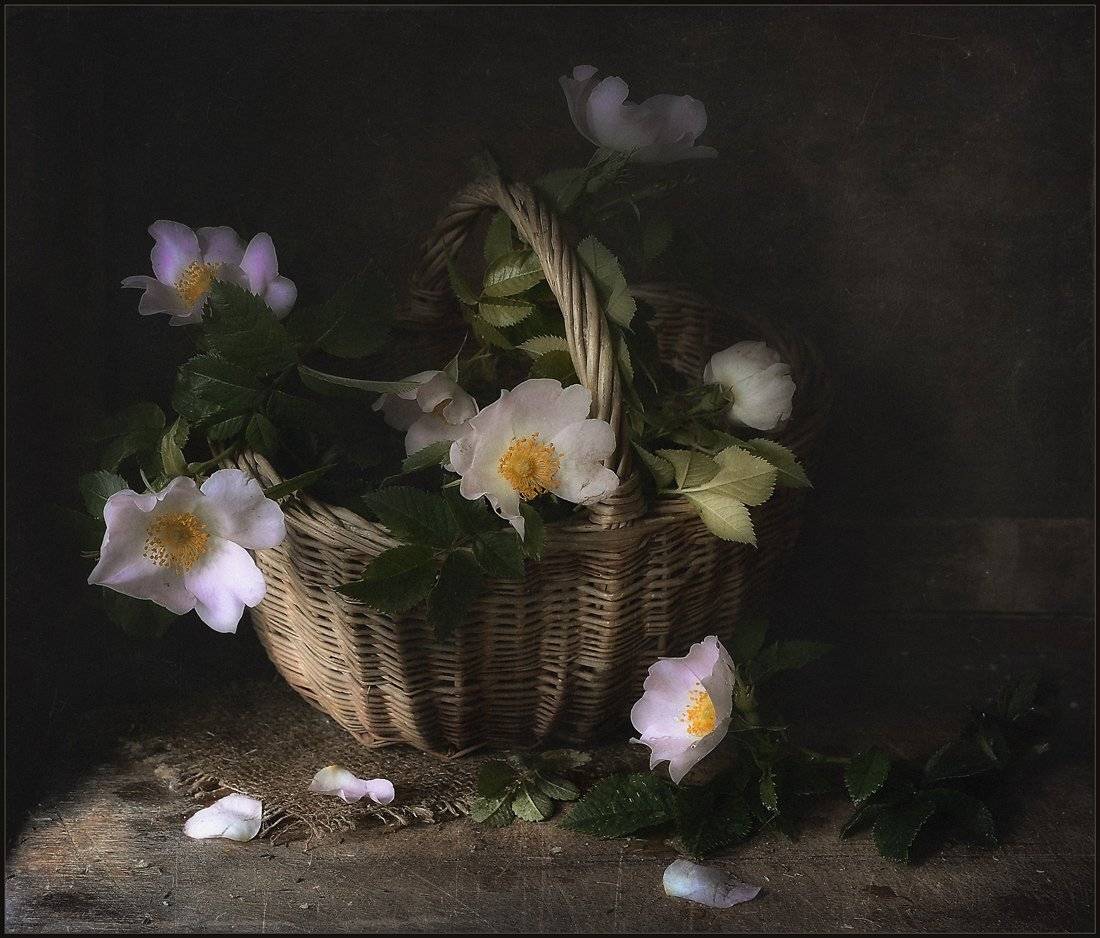 , Александр Хромеев