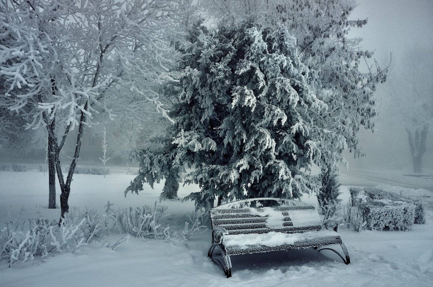 зима,иней,лёд,холод,мороз,город,ель,скамья, Владимир Володин