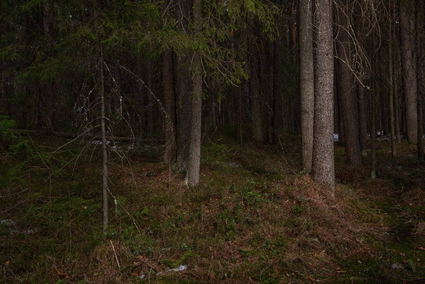 , Григорий Пиль