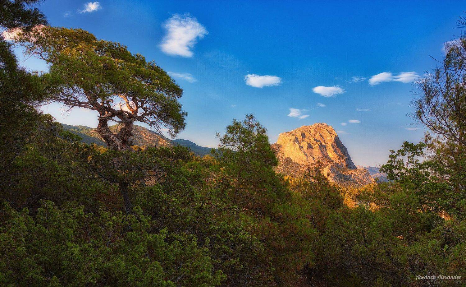 крым, новый свет, закат, деревья, солнце, небо, Александр Аседач