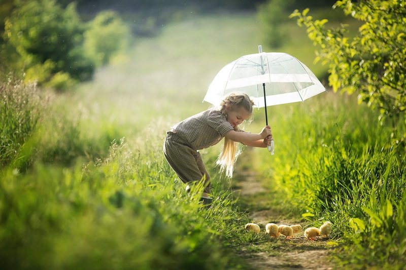 дождик, циплята, зонтик, дети, детский фотограф, детский портрет, девочка, лето,  Циплята под зонтом фото превью