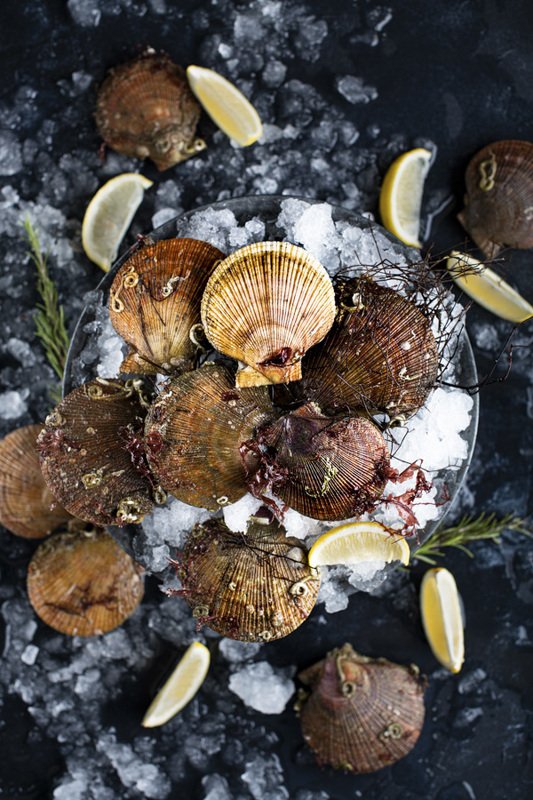 food photography fresh scallops seafood raw foodie still life flatlay Scallops фото превью