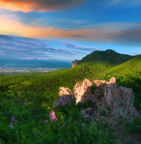 Утренняя