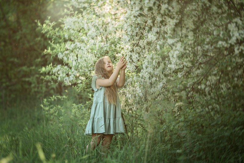 +++ фото превью