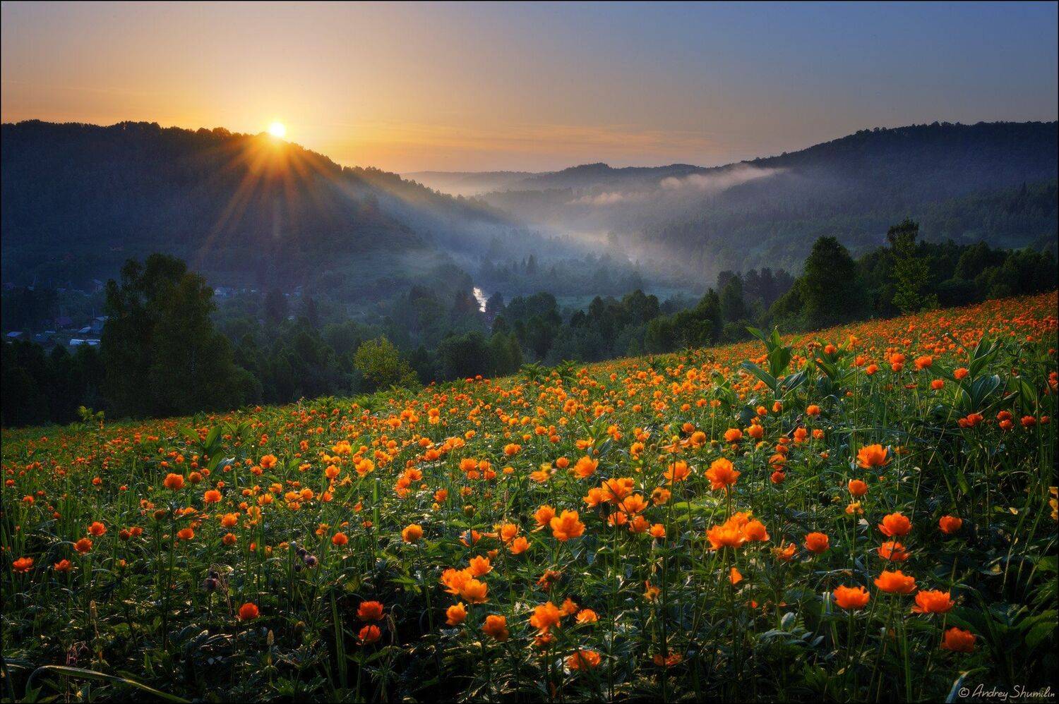 , Андрей Шумилин