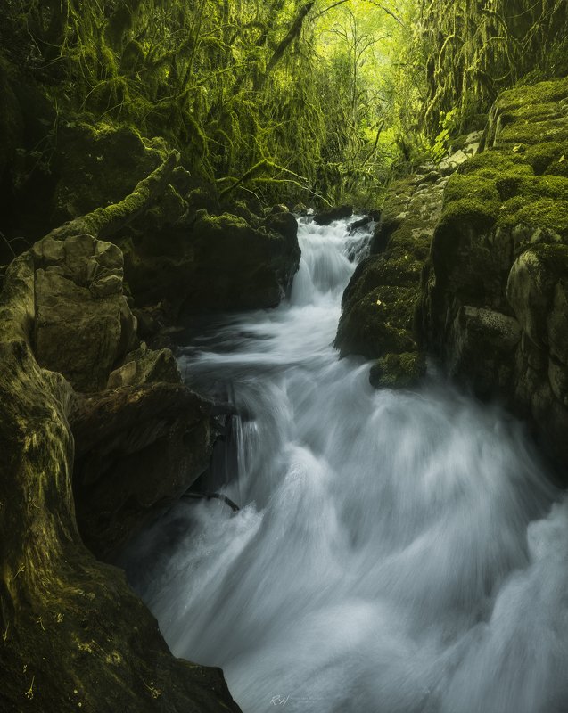 #landscape #mountains #italy #forest #waterfall \