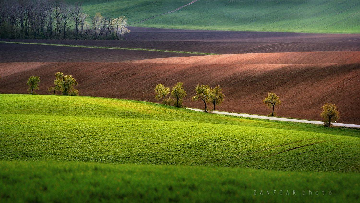 волны,пейзаж, поле, весна, деревья, волны, природа,чехия,zanfoar,czech republic,czechia,nikon d750,moravia,han&aacute;, Zanfoar