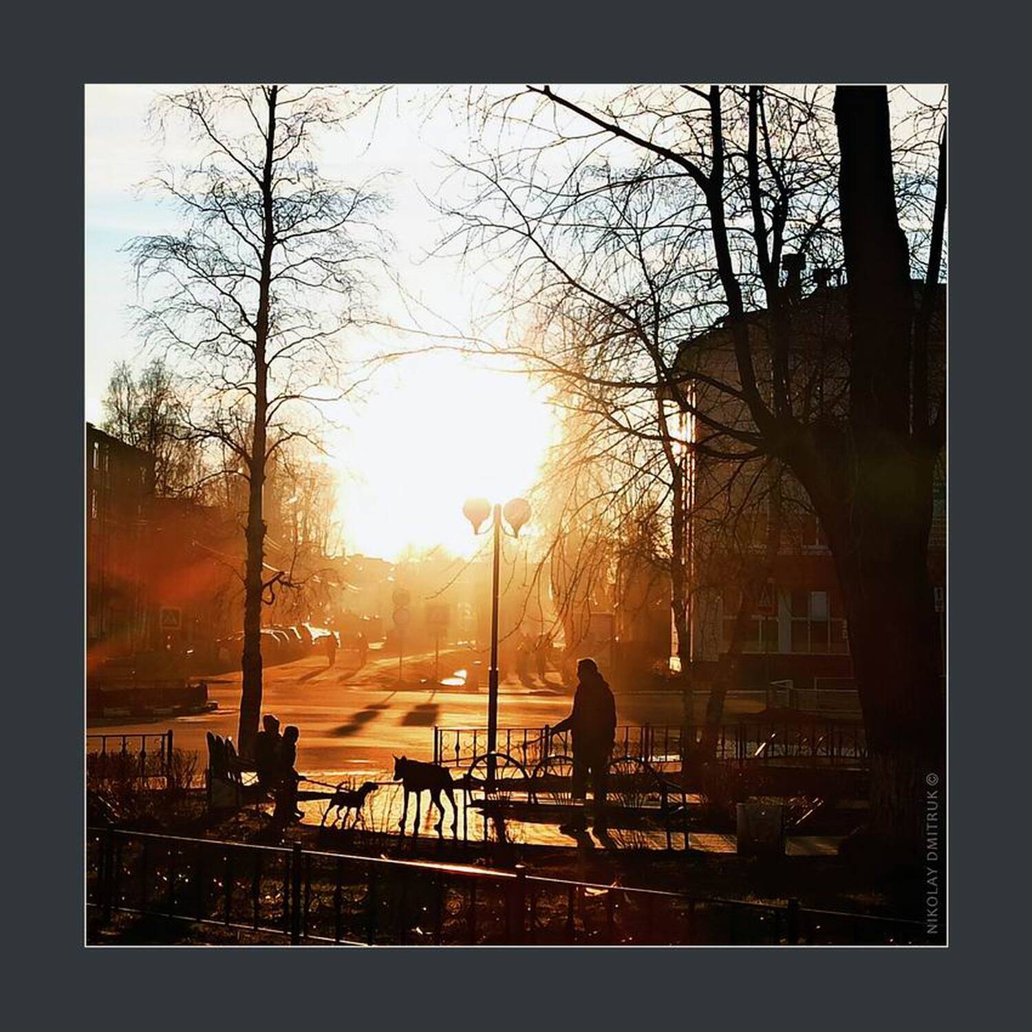 город, николай дмитрук