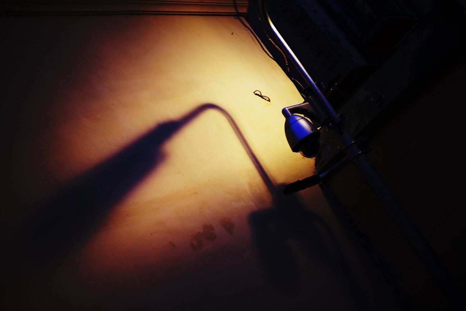 фонарь, камера, Алексей Егоров