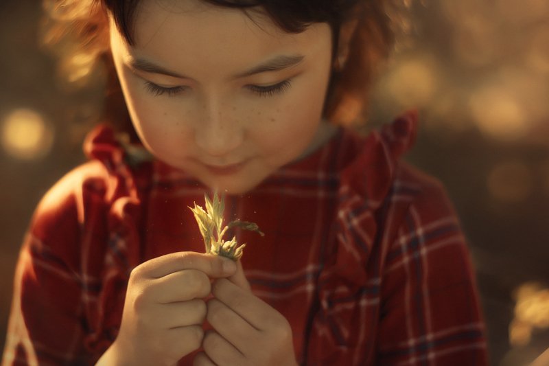 *** фото превью