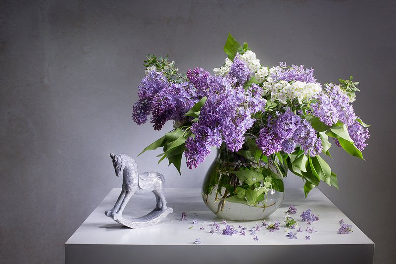 ... фото превью