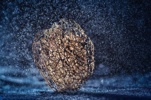 Прилунился