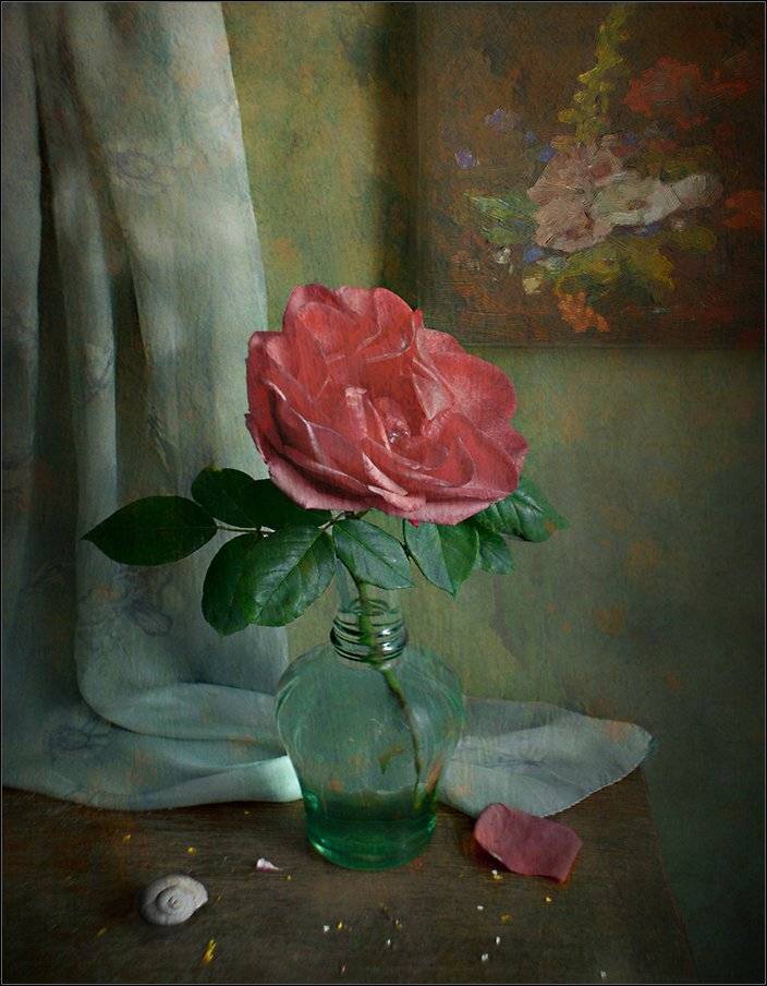 , Stein Georg