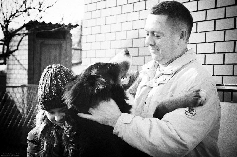 берн, бернский зенненхунд, пес, собака, объятия Мы неразделимы фото превью