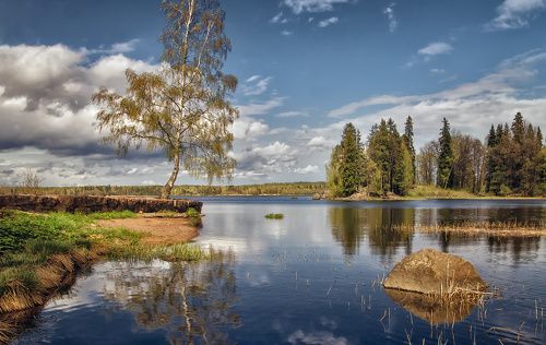 В парке Монрепо.