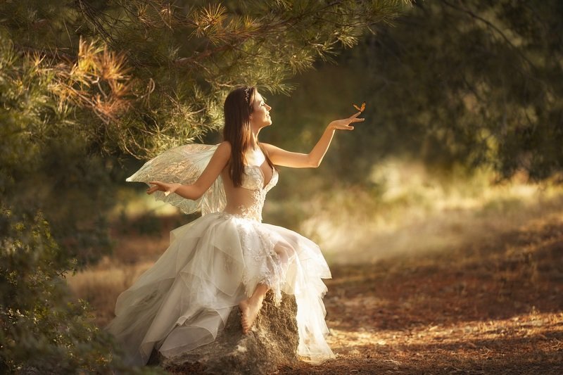 Цветы и цвета фото превью