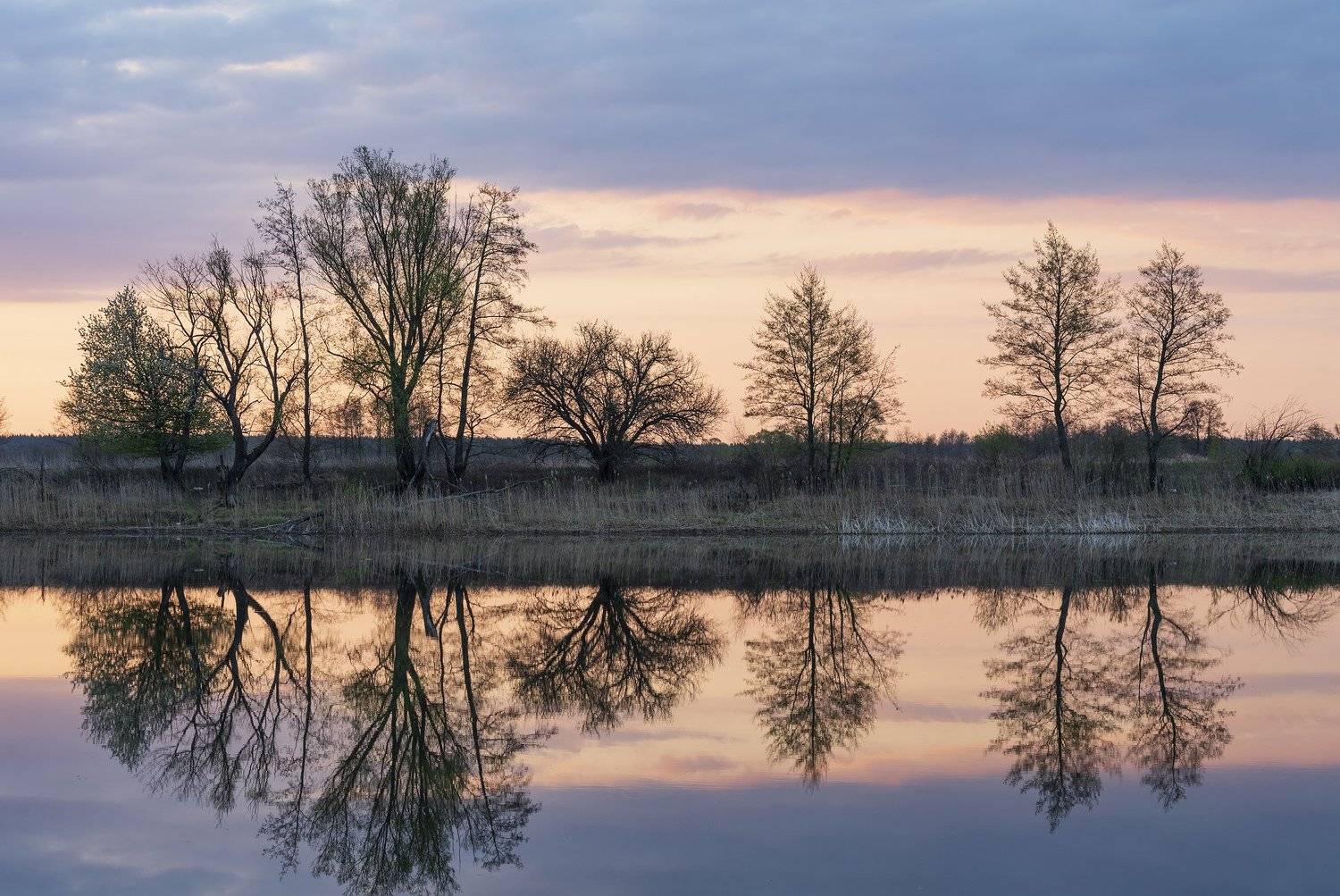 , Дмитрий Новоселов