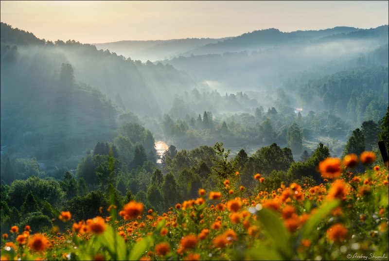Майское утро фото превью