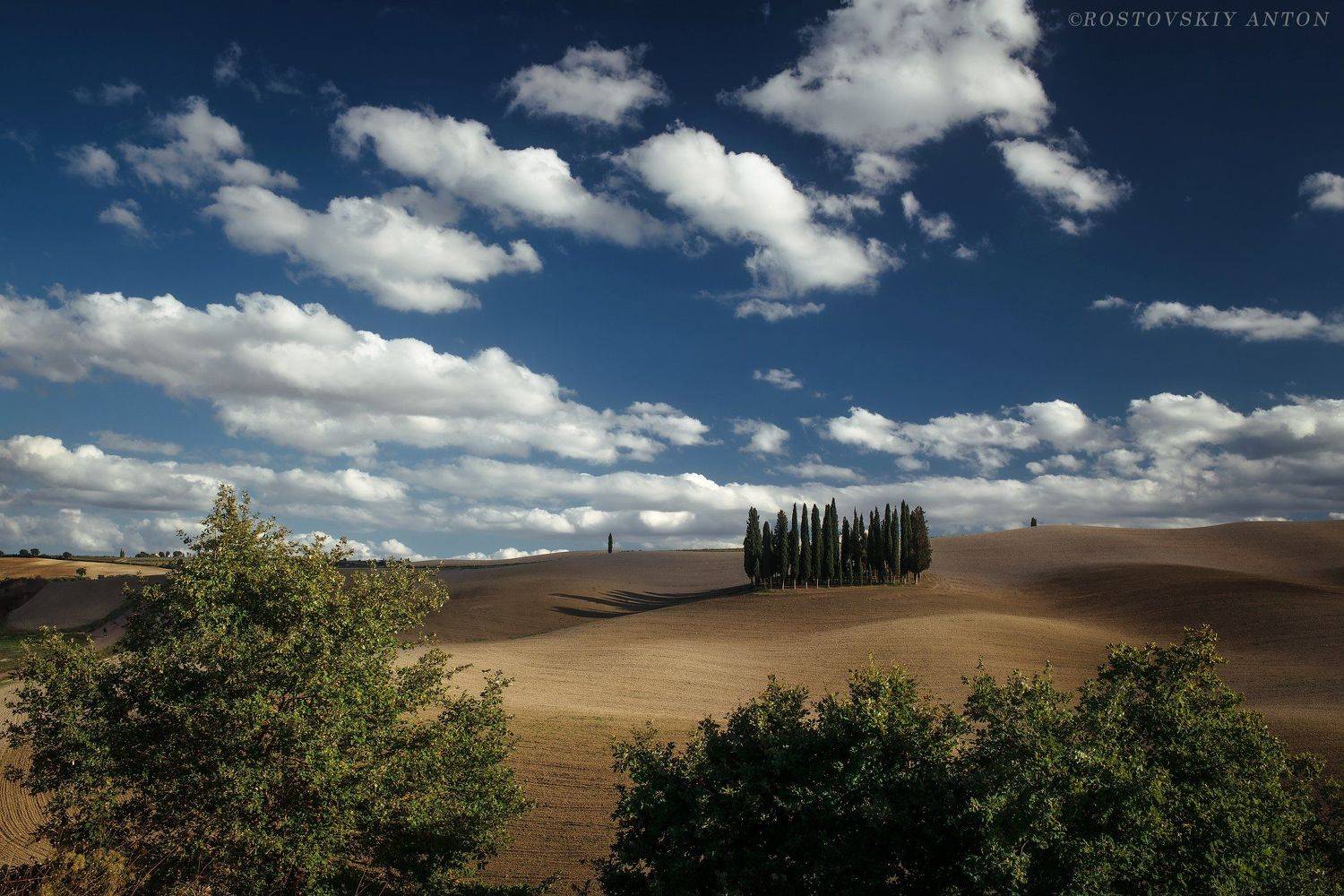 Тоскана, фототур, Италия, кипарисы, Tuscany, Антон Ростовский