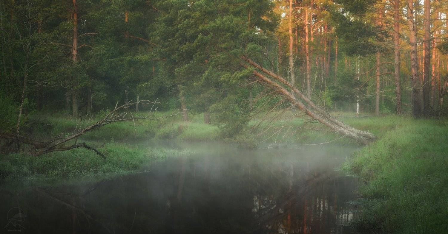пейзаж, река, весна, утро, Анатолий Гордиенко