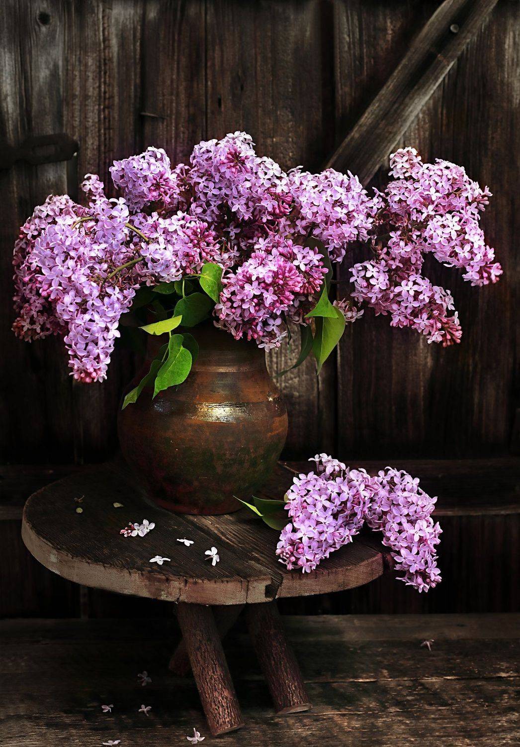 , Наталья Бочкарева