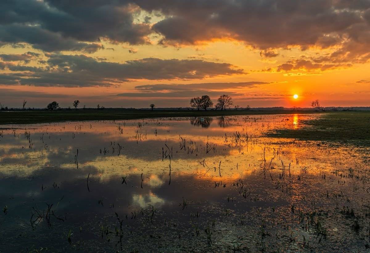 , Sławek Przybylski