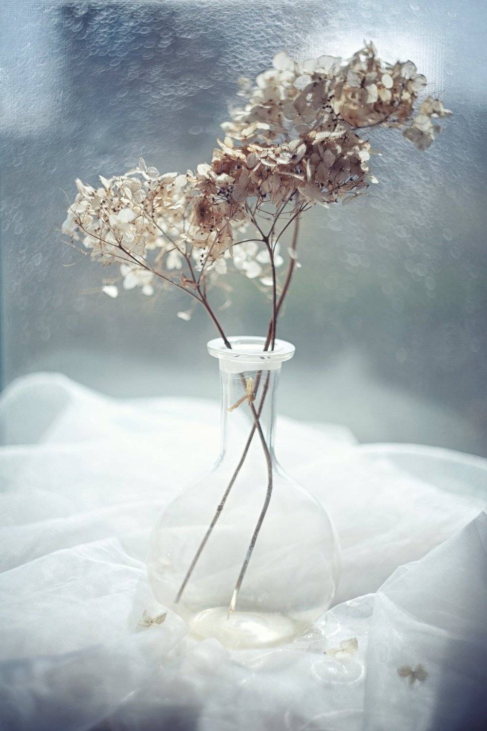 , Оксана Савинова