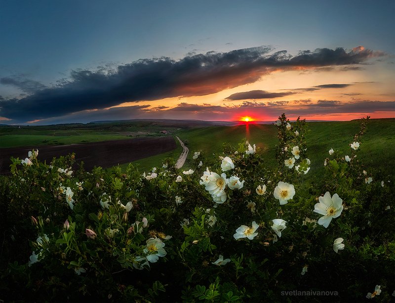 закат, горы, поле, ессентуки, лето, ставропольский край, предгорный район, кмв Вдыхая аромат весны... фото превью