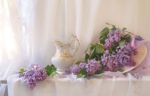 Лучистый май у финишной черты...