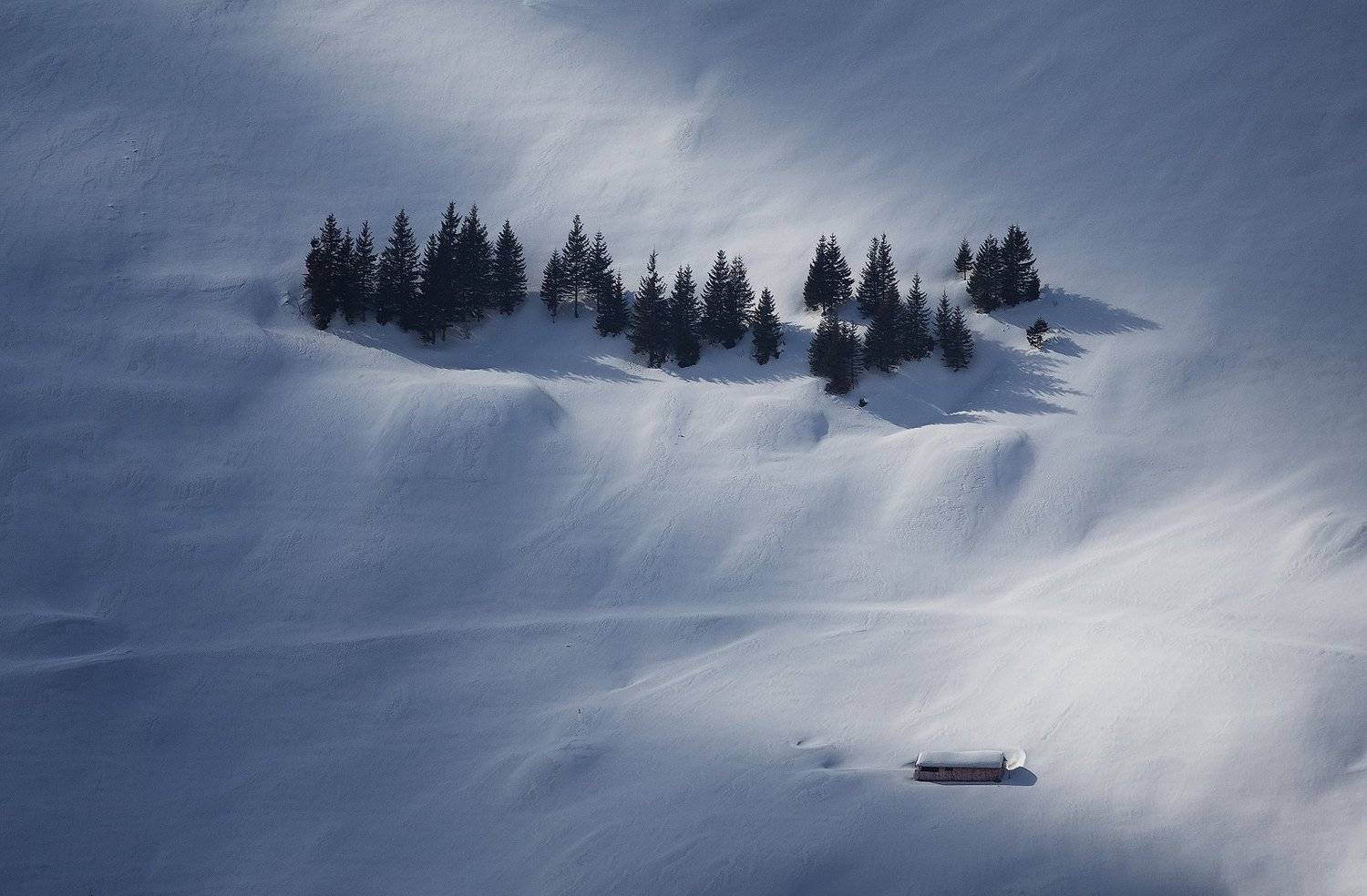 winter, trees, blizzard, snow, landscape, travel, nature, mountain, romania, cold, sunset, Lazar Ioan Ovidiu