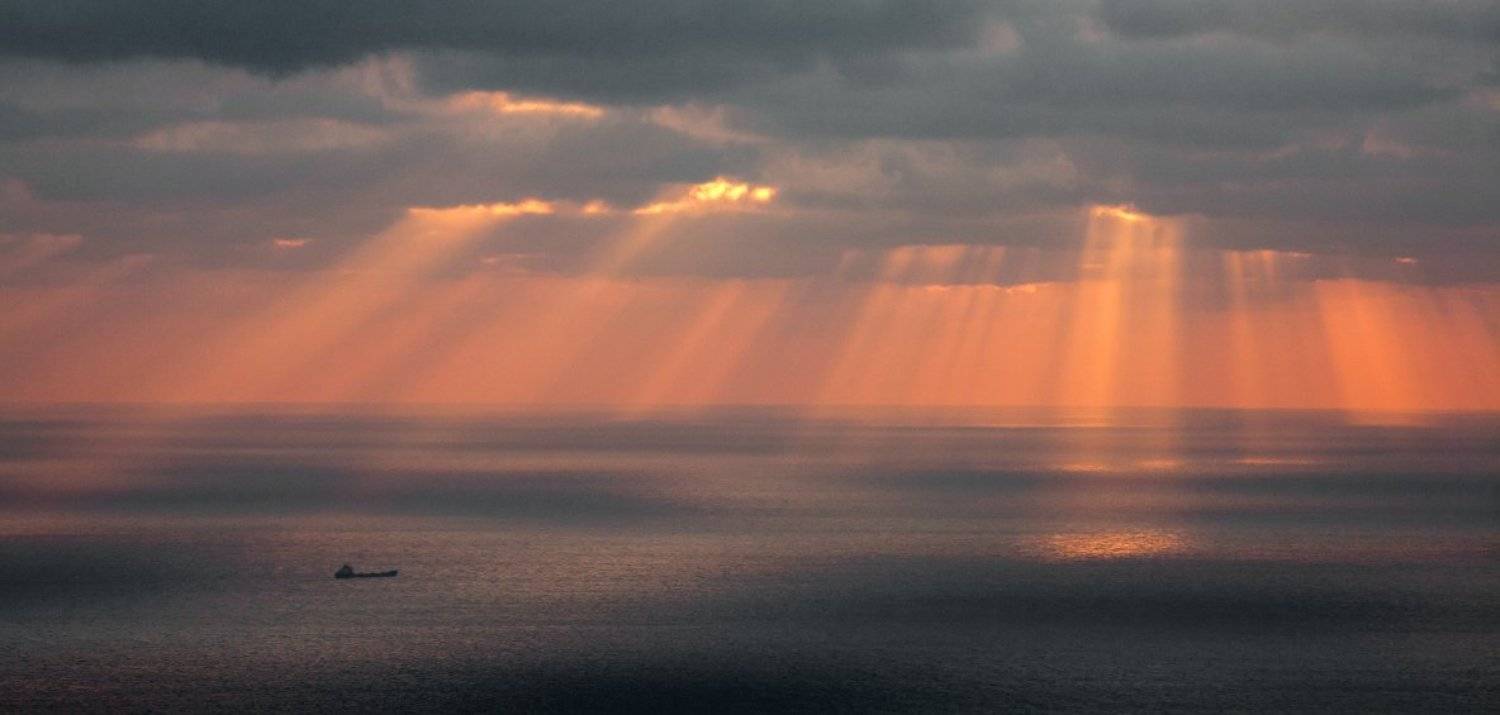 , Андрей Гусаченко