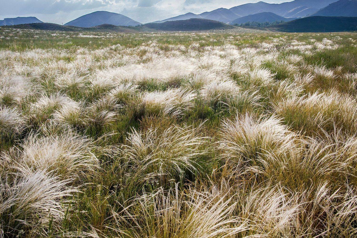 южный урал,оренбургская область, орск, новотроицк,, Качурин Алексей