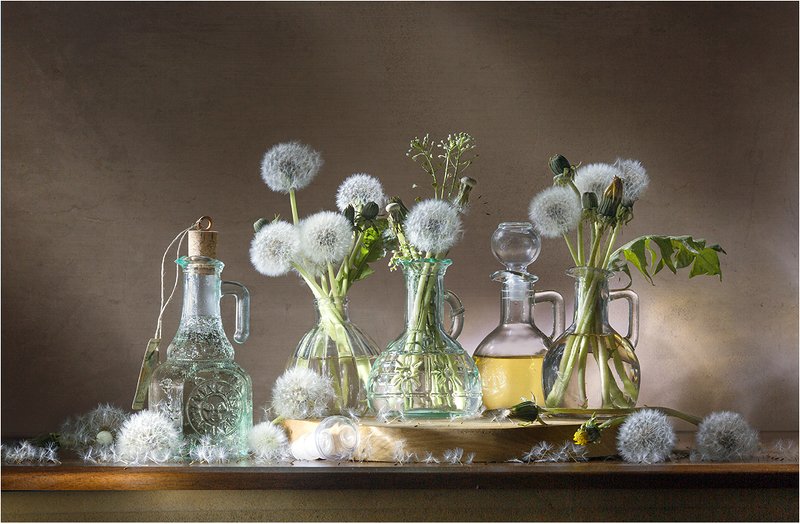 Вино из одуванчиков фото превью