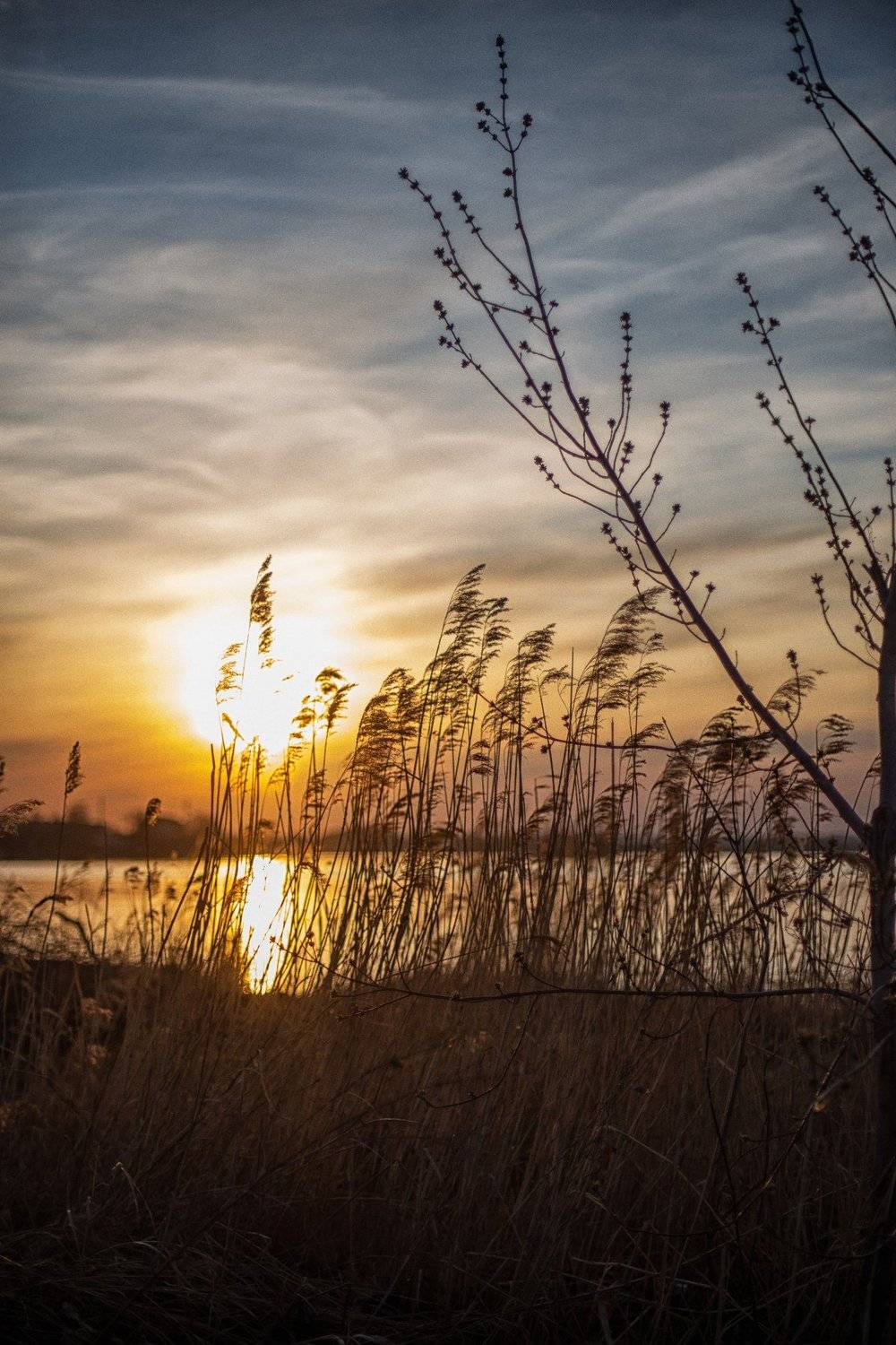 , Наталья Онянова