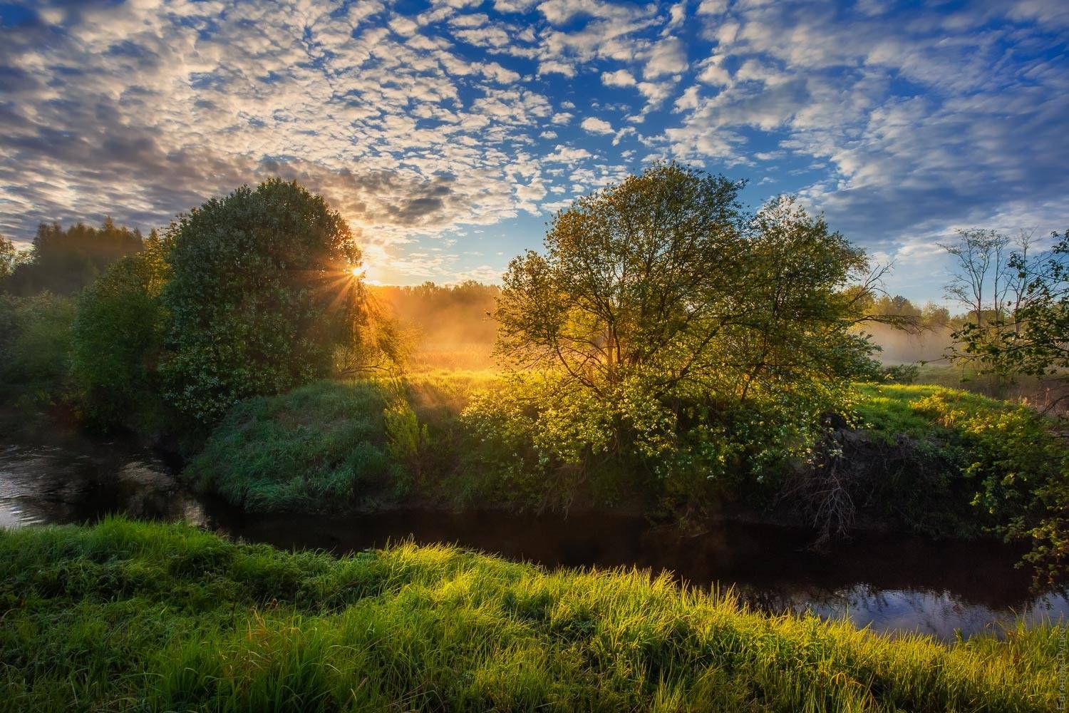 , Евгений Луцко