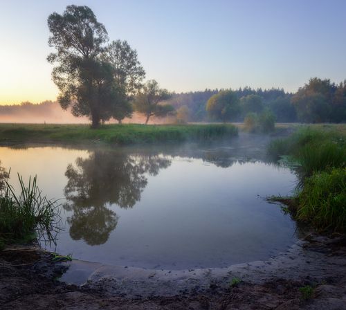 Утро на реке Волчья