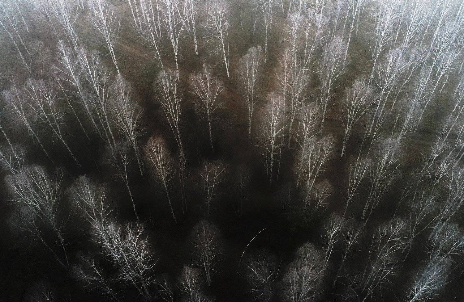 андрей таничев стихи.ру, Андрей Таничев